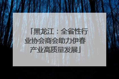 黑龙江：全省性行业协会商会助力伊春产业高质量发展