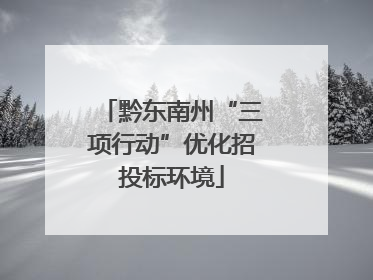 黔东南州“三项行动”优化招投标环境