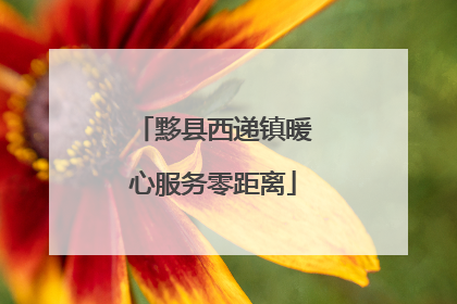 黟县西递镇暖心服务零距离