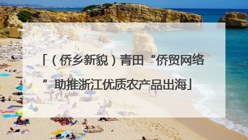 （侨乡新貌）青田“侨贸网络”助推浙江优质农产品出海
