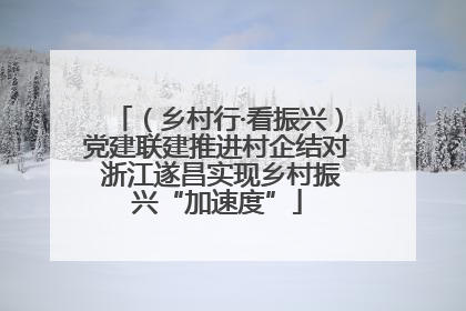 （乡村行·看振兴）党建联建推进村企结对 浙江遂昌实现乡村振兴“加速度”
