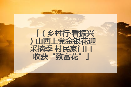 （乡村行·看振兴）山西上党金银花迎采摘季 村民家门口收获“致富花”