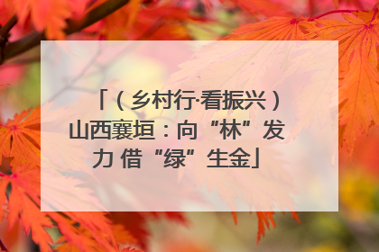 （乡村行·看振兴）山西襄垣：向“林”发力 借“绿”生金