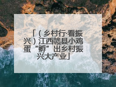 （乡村行·看振兴）江西赣县小鸡蛋“孵”出乡村振兴大产业