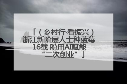 （乡村行·看振兴）浙江新阶层人士种蓝莓16载 盼用AI赋能“二次创业”