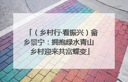 （乡村行·看振兴）畲乡景宁：拥抱绿水青山 乡村迎来共富蝶变