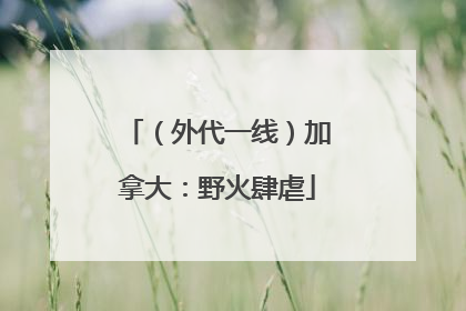 （外代一线）加拿大：野火肆虐
