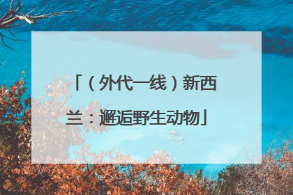 （外代一线）新西兰：邂逅野生动物
