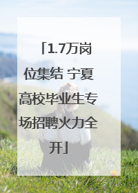 1.7万岗位集结 宁夏高校毕业生专场招聘火力全开