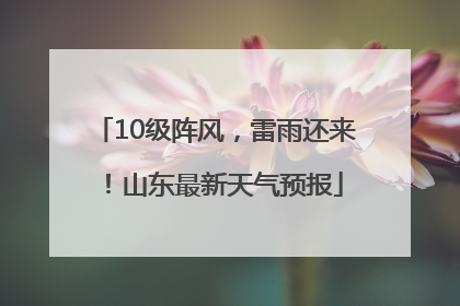 10级阵风，雷雨还来！山东最新天气预报