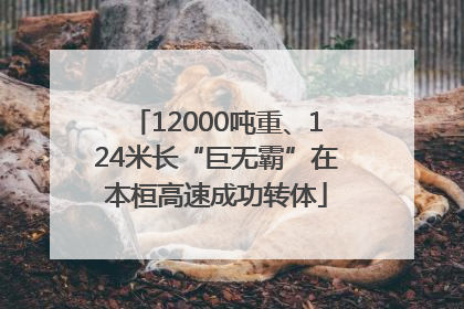 12000吨重、124米长“巨无霸”在本桓高速成功转体