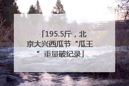 195.5斤，北京大兴西瓜节“瓜王”重量破纪录