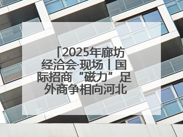 2025年廊坊经洽会·现场丨国际招商“磁力”足 外商争相向河北推介项目