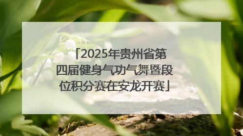 2025年贵州省第四届健身气功气舞暨段位积分赛在安龙开赛