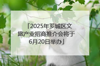 2025年芗城区文旅产业招商推介会将于6月20日举办
