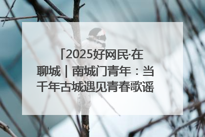 2025好网民·在聊城｜南城门青年：当千年古城遇见青春歌谣 一湖碧水见证的“聊城式浪漫”