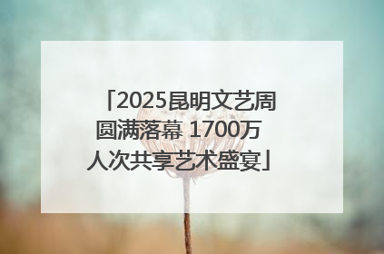 2025昆明文艺周圆满落幕 1700万人次共享艺术盛宴
