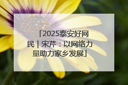 2025泰安好网民｜宋芹：以网络力量助力家乡发展