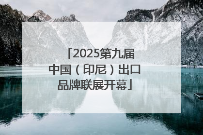 2025第九届中国（印尼）出口品牌联展开幕