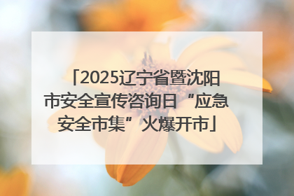 2025辽宁省暨沈阳市安全宣传咨询日“应急安全市集”火爆开市