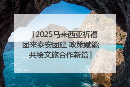 2025马来西亚祈福团来泰安团建 政策赋能共绘文旅合作新篇