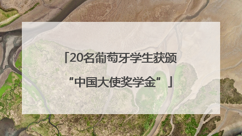 20名葡萄牙学生获颁“中国大使奖学金”