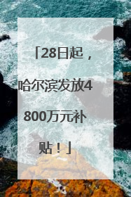 28日起，哈尔滨发放4800万元补贴！