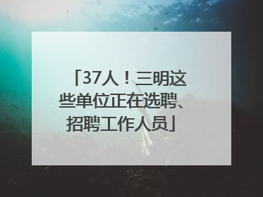 37人！三明这些单位正在选聘、招聘工作人员