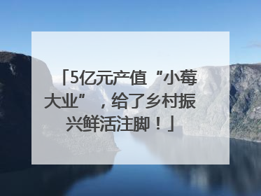 5亿元产值“小莓大业”，给了乡村振兴鲜活注脚！