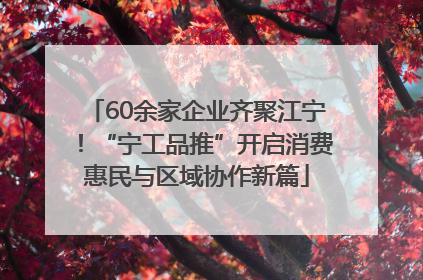 60余家企业齐聚江宁！“宁工品推”开启消费惠民与区域协作新篇
