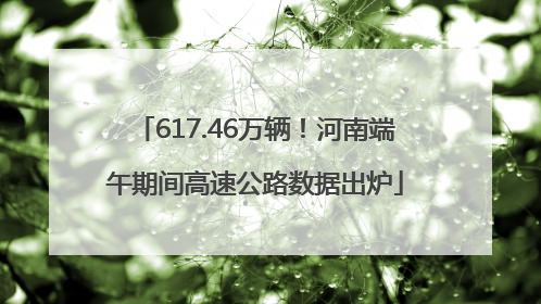 617.46万辆！河南端午期间高速公路数据出炉
