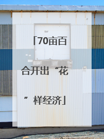 70亩百合开出“花”样经济