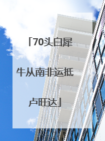 70头白犀牛从南非运抵卢旺达