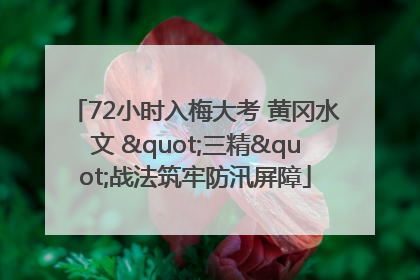 72小时入梅大考 黄冈水文 "三精"战法筑牢防汛屏障