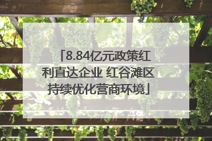 8.84亿元政策红利直达企业 红谷滩区持续优化营商环境