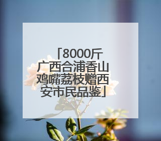 8000斤广西合浦香山鸡嘴荔枝赠西安市民品鉴
