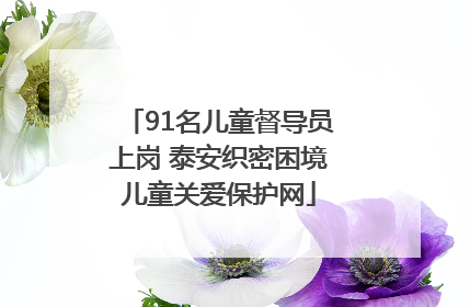 91名儿童督导员上岗 泰安织密困境儿童关爱保护网