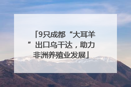 9只成都“大耳羊”出口乌干达，助力非洲养殖业发展