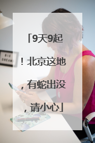9天9起！北京这地，有蛇出没，请小心