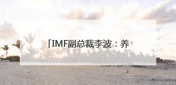 IMF副总裁李波：养老金改革能为资本市场建设提供更多长期资金