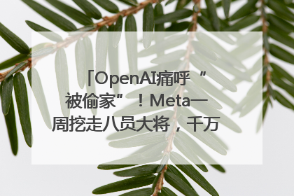 OpenAI痛呼“被偷家”！Meta一周挖走八员大将，千万美元薪酬战开打