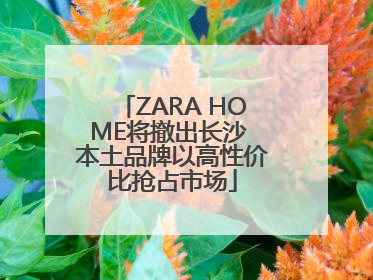 ZARA HOME将撤出长沙 本土品牌以高性价比抢占市场